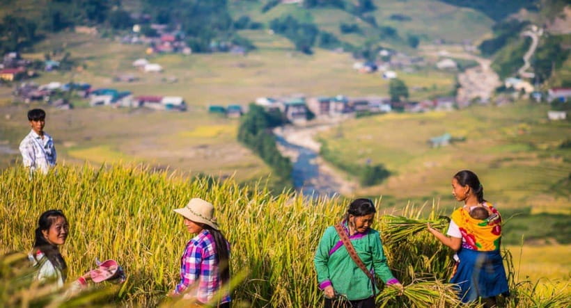 From Hanoi: Trek and Stay: 3-Day Sapa Highlands Adventure - Is $98 good value?