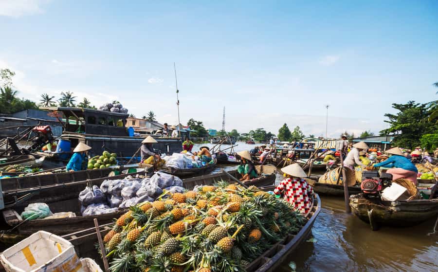 From HCM: Mekong Delta & Cai Rang Floating Market 2-Day Tour - Ben Tre’s food and craft stops