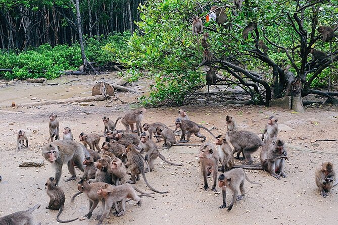 From Ho Chi Minh: Can Gio Trek – Monkey Island & Crocodile Farm - The crocodile farm: interesting, but keep expectations modest