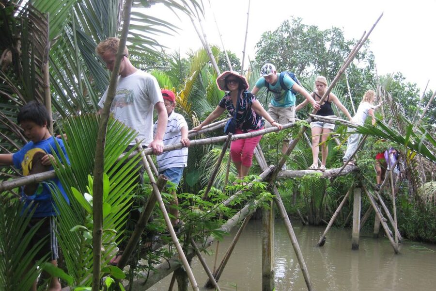 From Ho Chi Minh City: Mekong Delta VIP Tour by Limousine - Lunch beneath the trees