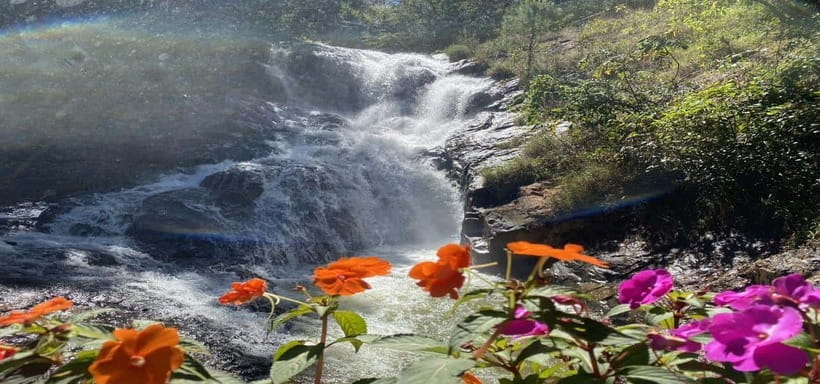 From Nha Trang: Best Seller Top Site Luxury Da Lat City Trip - Leaving Nha Trang for Da Lat’s pine country