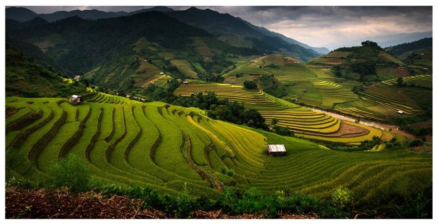 From Sapa: Terrace Fields and Local Villages Trek with Lunch - Reaching Lai Chai and the hill villages