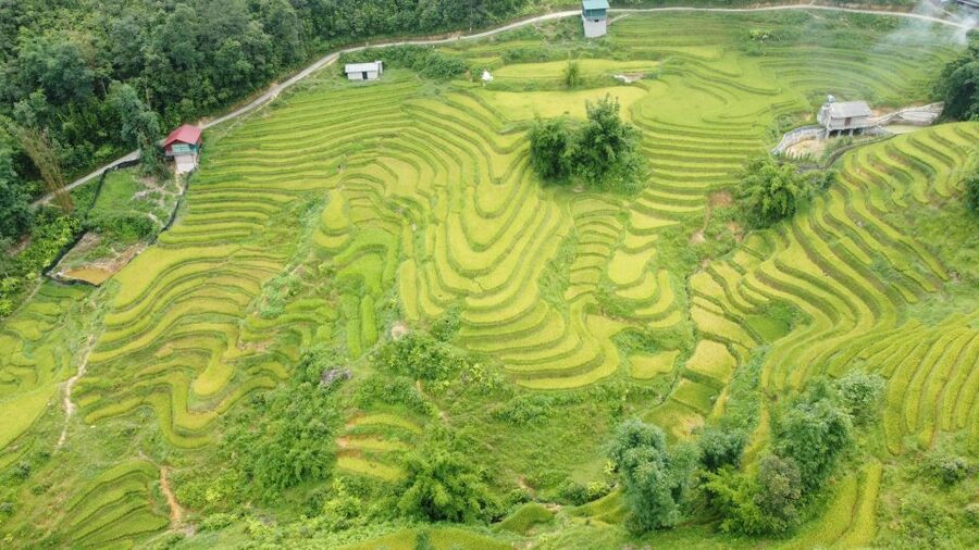 From Sapa: Terrace Fields and Local Villages Trek with Lunch - What the 11-kilometer route feels like