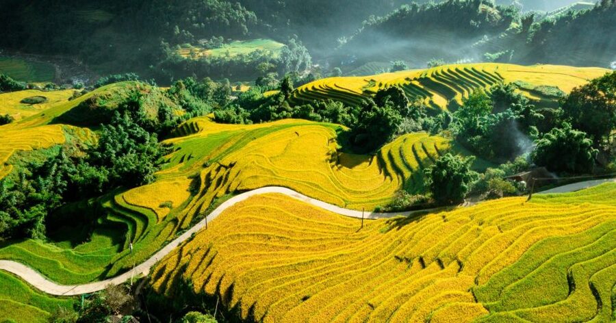 From Sapa: Terrace Fields and Local Villages Trek with Lunch - Local lunch after the walk