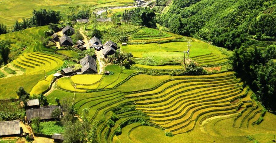 From Sapa: Terrace Fields and Local Villages Trek with Lunch - From town streets to terrace fields