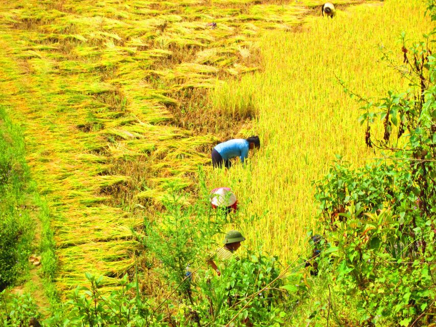 From Sapa: Waterfalls, Trekking and Tribal Villages Tour - Weather, clothing, and fitness