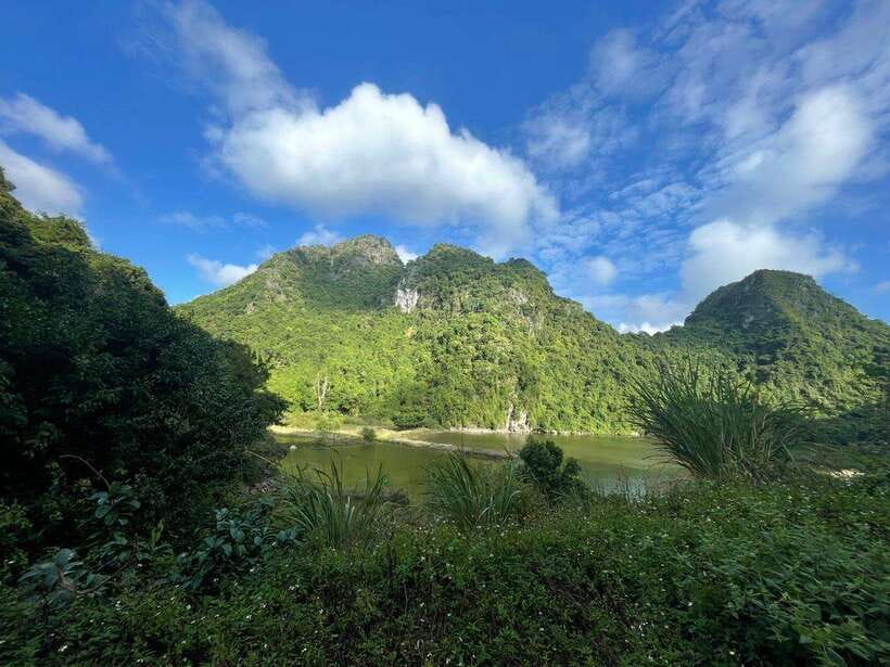 Full day hike - climbing in Jungle of Cat Ba National park - Key points to know before you book