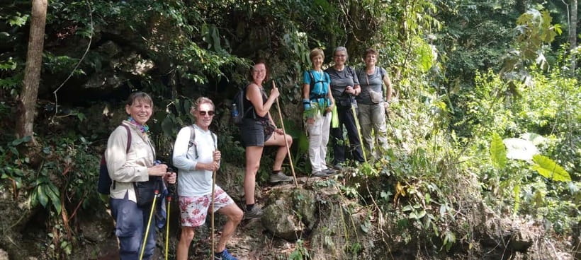 Full day hike - climbing in Jungle of Cat Ba National park - Three mountains and six kilometers of forest trail