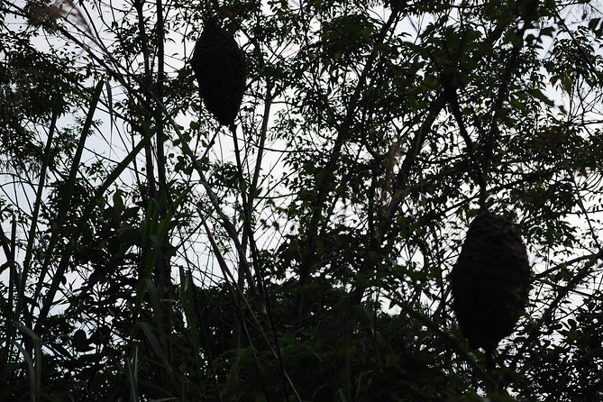 Full day hikes, Cycles, Kayaks & swims in Cat Ba National park - The three-hour walk to Frog Pond