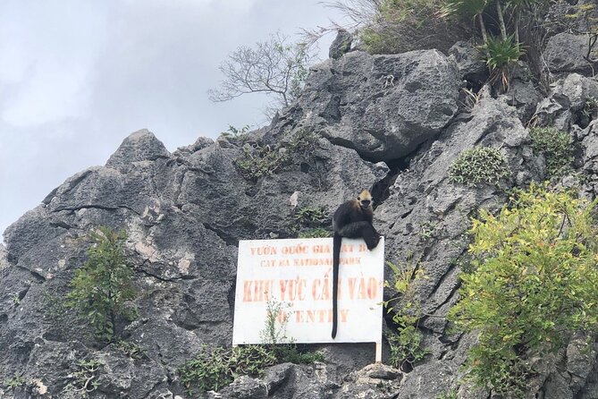 Full day trip to Lan Ha-Ha Long Bay from Cat Ba, avoid the crowds - Two Hours of Kayaking Through Caves