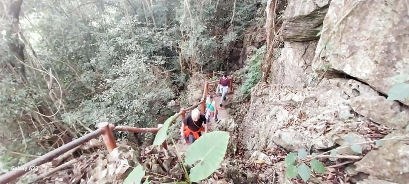 Half Day Hiking to Cat Ba National Park with a Guide - Who gets the most from this half-day tour