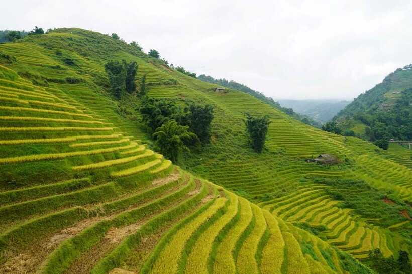 Half Day Sapa Trekking to Visit Lao Chai - Ta Van - Who should book this Sapa trek?