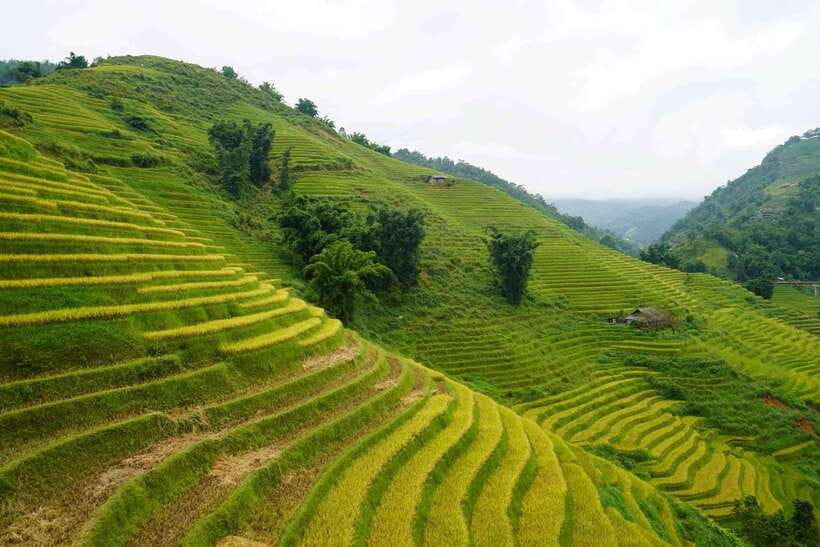 Half Day Sapa Trekking to Visit Lao Chai - Ta Van - Lao Chai, where scenery meets village life