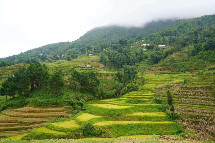 Half Day Sapa Trekking to Visit Lao Chai - Ta Van - How hard is the 9-kilometer walk?