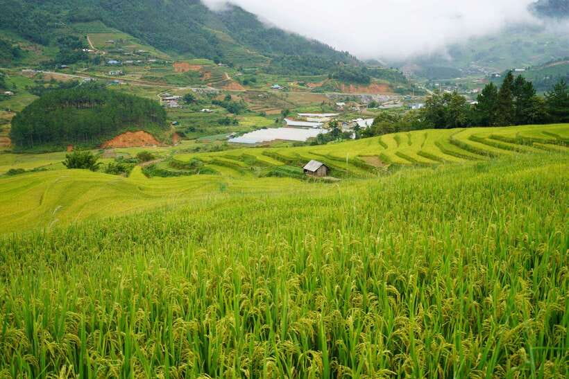 Half Day Sapa Trekking to Visit Lao Chai - Ta Van - Weather can make or break the day