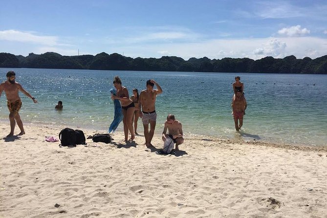 Halong Bay 2 Days 1 Night Included Transfer from Hanoi - The early second morning on the bay
