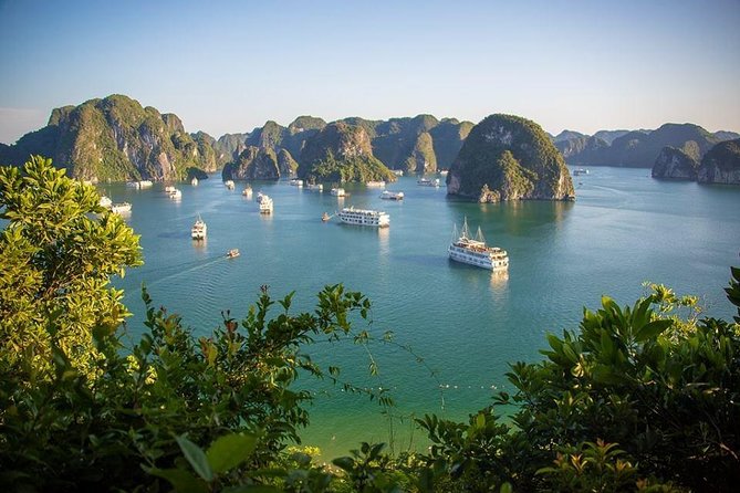 Halong Bay In Just One Day with Ti Top Island - Boarding at Tuan Chau and lunch on the bay