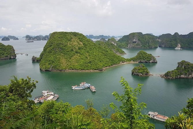 Halong Bay Shore Excursion: Full Day Cruise Tour from Cruise Port - What the day feels like in practical terms