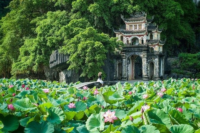 Hanoi: 3-Day Ninh Binh Trip and Ha Long Bay 4-Star Cruise - Day 3: Surprising Cave, brunch, and the return to Hanoi