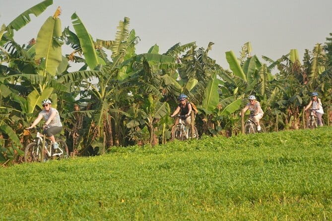 Hanoi Countryside By Bike & Local House and Food Tasting - Rice Fields and the Red River Delta