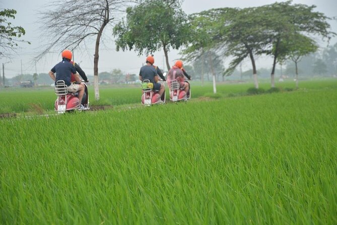 Hanoi Food Tours: Hanoi Foodie Scooter Tour Led By Women - Why a scooter is a smart way to eat through Hanoi