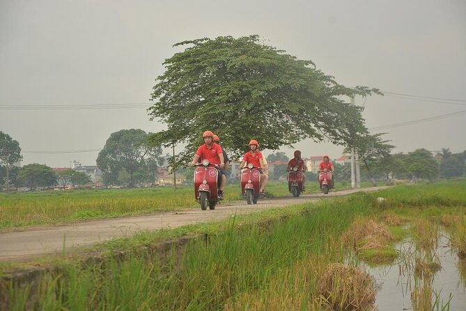 Hanoi Food Tours: Hanoi Foodie Scooter Tour Led By Women - Egg coffee and a secret dessert at Hồ Truc Bạch
