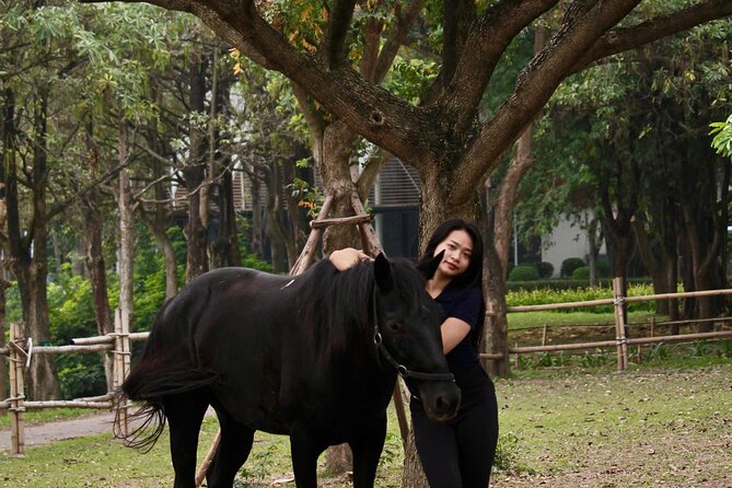 Hanoi Horseback Riding Club & Tours - Exclusive Experience - Who will enjoy this most