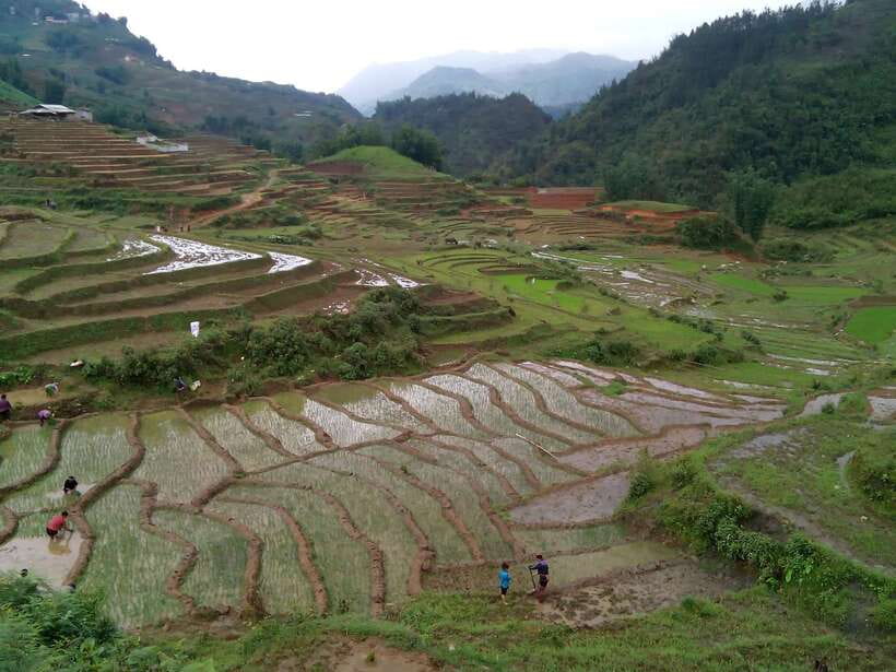 Hanoi- SaPa: 3-Day Homestay Trek to Explore Ethnic cultures - Should you book this Sa Pa homestay trek?