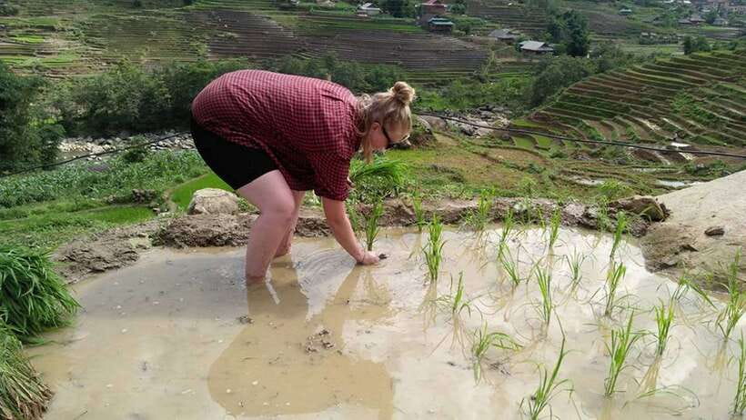 Hanoi- SaPa: 3-Day Homestay Trek to Explore Ethnic cultures - Day 3: Nam Tong and the return to Sa Pa