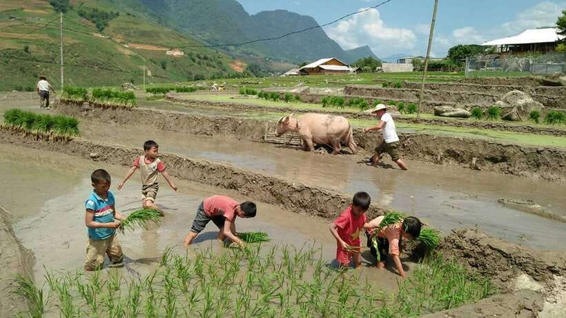 Hanoi- SaPa: 3-Day Homestay Trek to Explore Ethnic cultures - What the homestays are really like