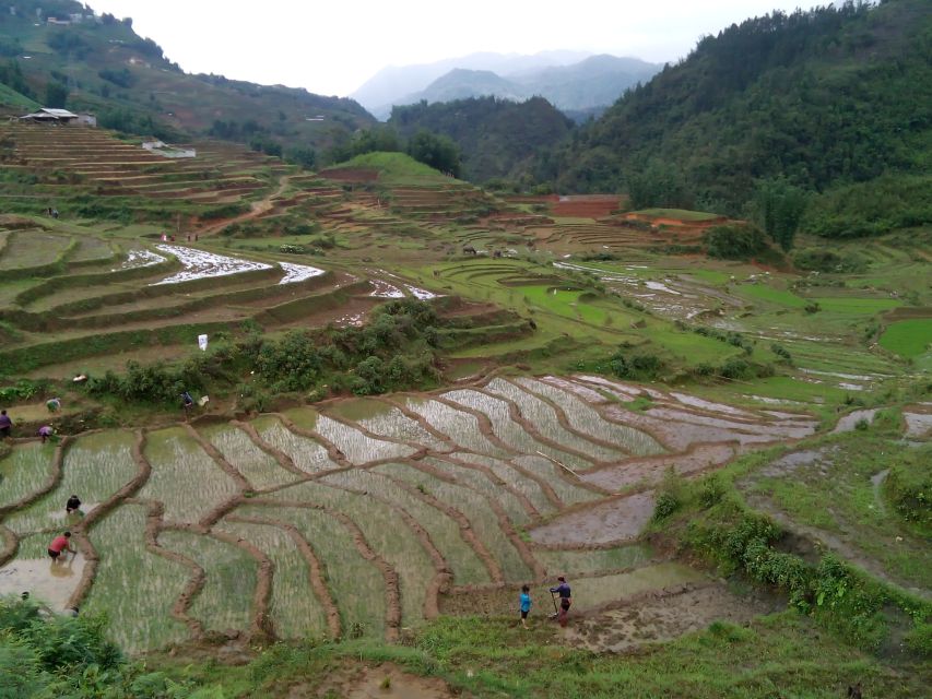 Hanoi- SaPa: 3-Day Homestay Trek to Explore Ethnic cultures - The guide can shape the whole experience
