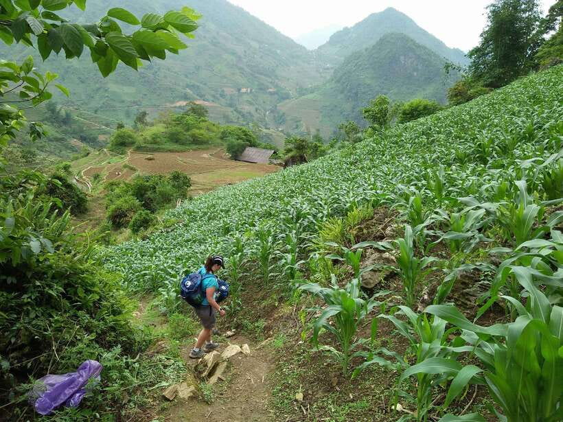 Hanoi- SaPa: 3-Day Homestay Trek to Explore Ethnic cultures - Is $139 good value?