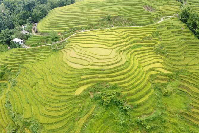 Hanoi - Sapa 3 Days - 2 Nights Trekking with With the locals - The long walk through Y Linh Ho, Lao Chai, and Ta Van
