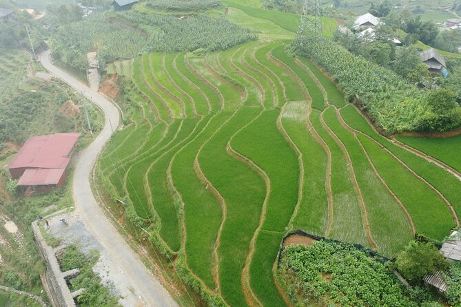 Hanoi - Sapa 3 Days - 2 Nights Trekking with With the locals - Giang Ta Chai and Su Pan on the final morning