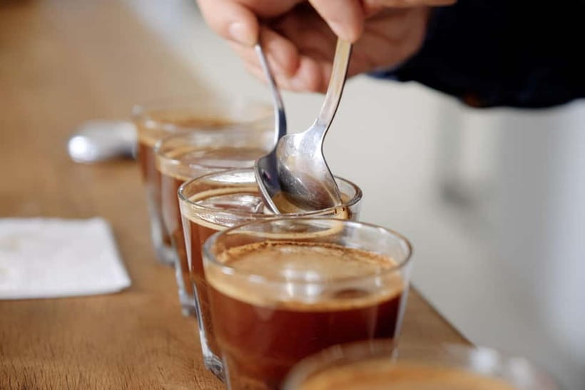 Hanoi Ultimate Coffee Workshop: Make, Learn & Taste - The flavor lesson: compare, do not just consume