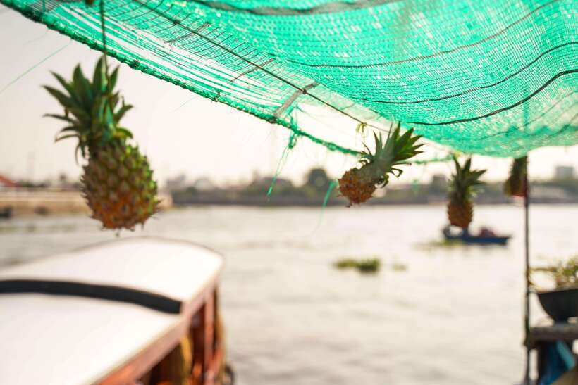 Ho Chi Minh: 3-Day Mekong Delta & Optional Exit to PhnomPenh - Day three: floating villages and Cham heritage