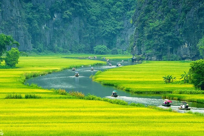 Hoa Lư Tam Coc & Mua Cave full day Including Buffets Lunch - Buffet lunch near Tam Coc