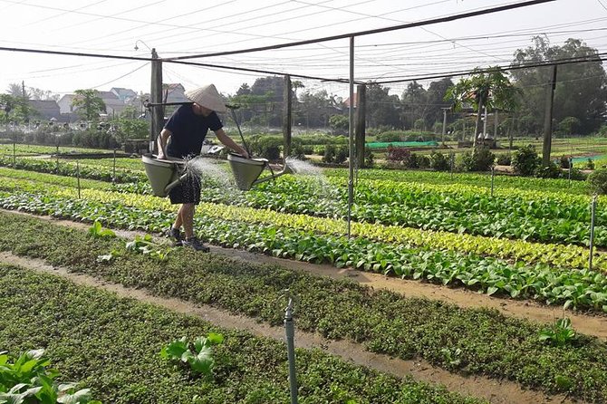 Hoi An Countryside Biking Tour(Vegetable village -basket boat - fishing village) - Price, timing, and what the $45 includes