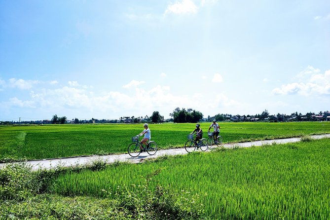 Hoi An Countryside Biking Tour(Vegetable village -basket boat - fishing village) - Choosing morning or afternoon
