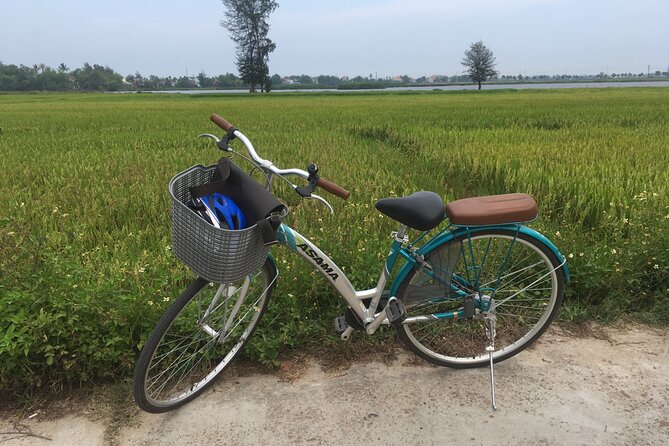 Hoi An countryside biking tour, water buffalo+ basket boat ride - Who will enjoy this tour most