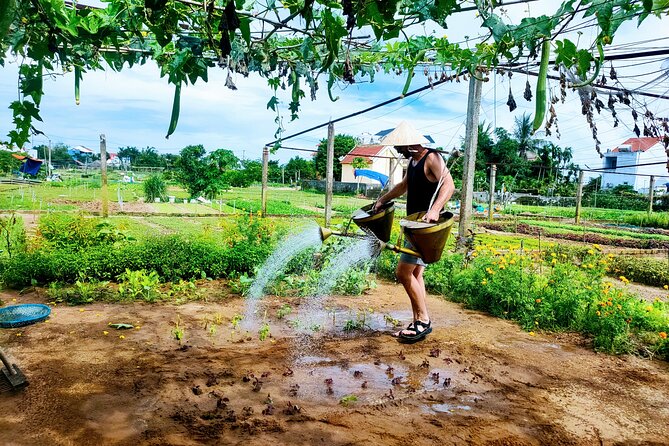Hoi An countryside cycling tour - Why this ride works beyond Hoi An’s old town