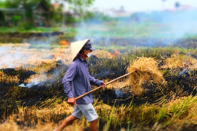 Hoi An Countryside Vespa Tour: Food, Culture & Daily Life - The meal: a real part of the experience