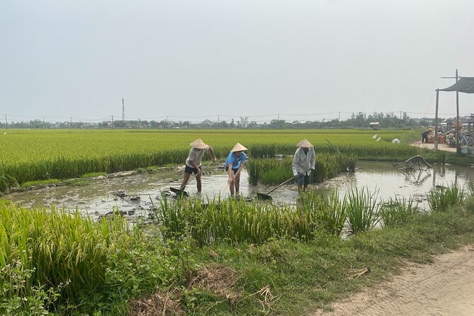 Hoi An Countryside Vespa Tour: Food, Culture & Daily Life - Safety, comfort, and the weather