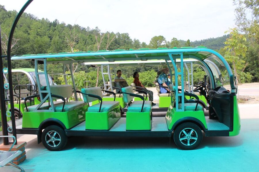 Hoi An/Da Nang: My Son Afternoon tour: Banh my and Cruise - Why My Son deserves an afternoon