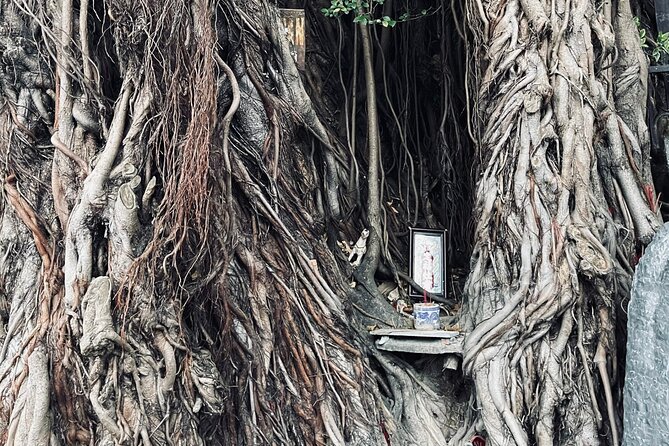 Hoi An Ghosts, Death, Mystery Unveiled - Graves, wells, and the old town’s quieter corners