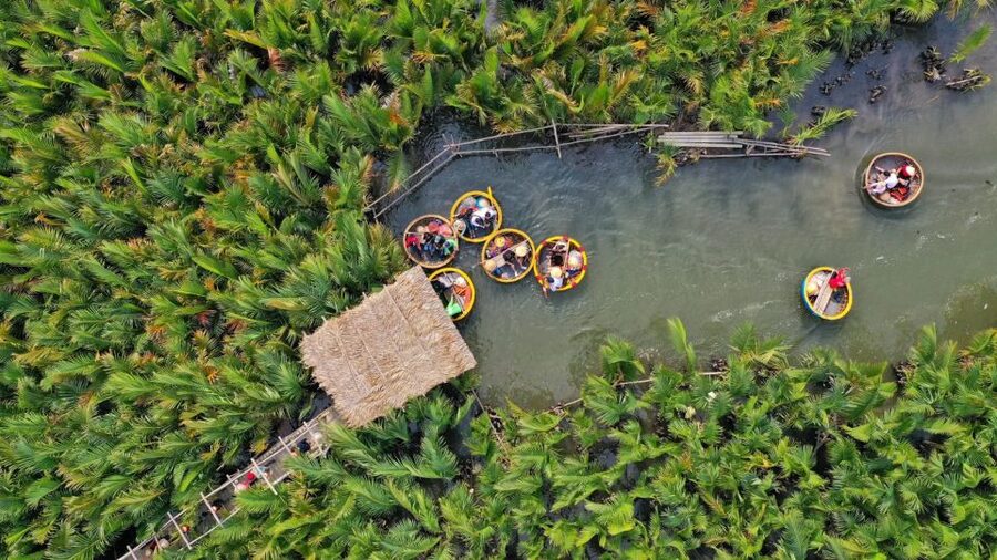 Hoi An: Hoi An Basket Boat Ride in Water Coconut Forest - A 50-minute trip into Bay Mau Coconut Forest