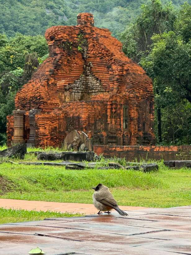 Hoi An: My Son Sanctuary Private Tour with Local Guide - Why My Son is worth the trip from Hoi An