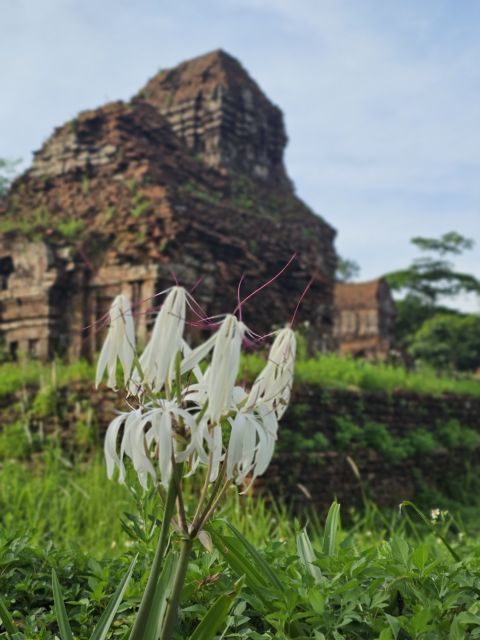 Hoi An: My Son Sanctuary & Sunset River Cruise BBQ or Banhmi - A traditional Cham performance among the ruins