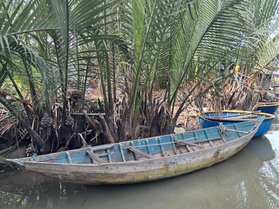 Hoi An: My Son Sanctuary with Basket Boat and Lunch Options - Price, inclusions, and what you really get