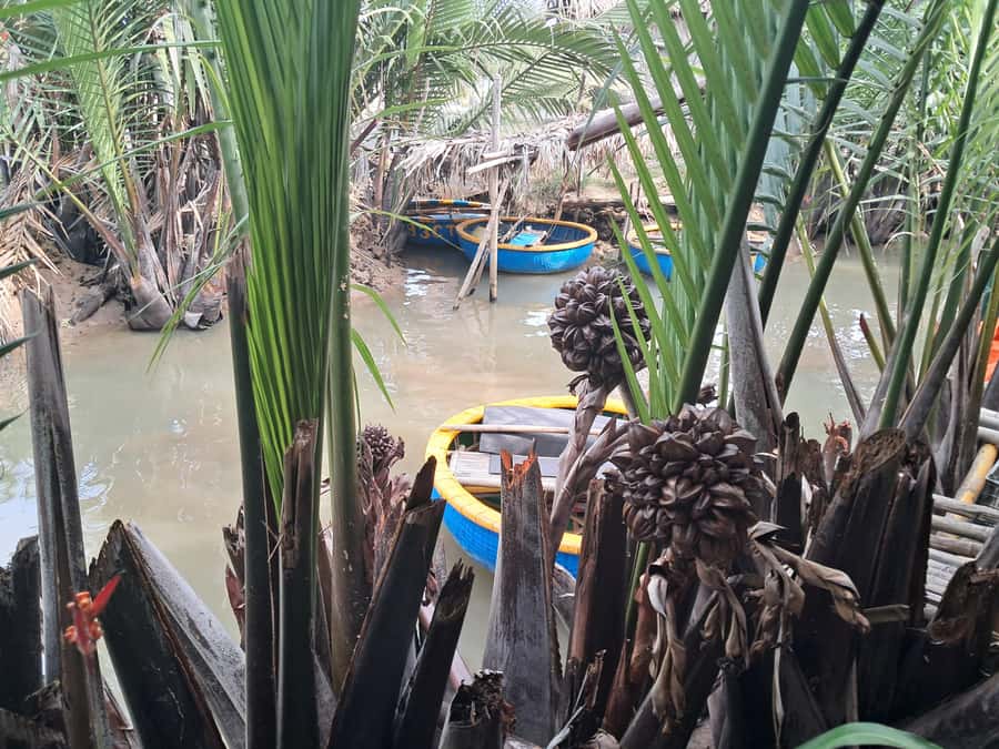 Hoi An: My Son Sanctuary with Basket Boat and Lunch Options - Who will enjoy this day most
